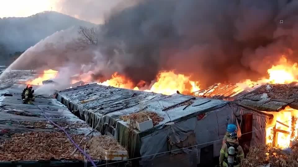 БНСУ-ын ерөнхийлөгч тосгон нь галд өртсөн иргэдээ нүүлгэж шилжүүлэхийг үүрэгдлээ