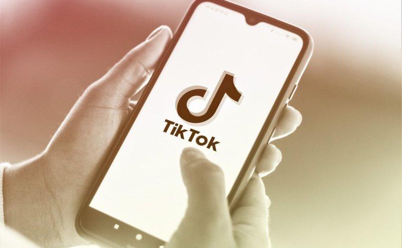 Инфографик: TikTok-ийн хэрэглэгч 2024 онд 2 тэрбум хүрнэ