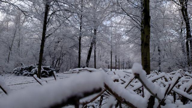 Уулын цас хайлж, гурван айл шар усны үерт өртжээ