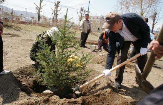 Хаврын мод тарих өдрүүд энэ сарын 19-нийг хүртэл үргэлжилнэ